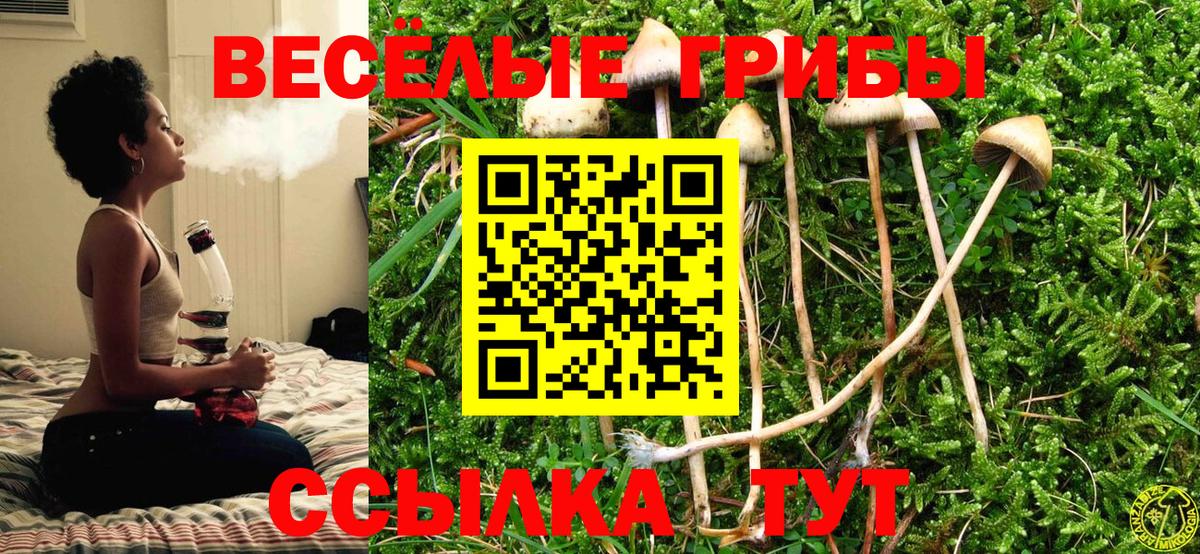 Галлюциногенные грибы ЛСД Киреевск